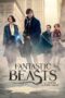 Fantastic Beasts and Where to Find Them