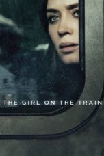 The girl on the train